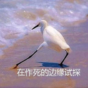 屈光矯視