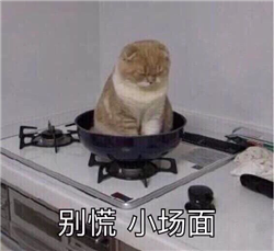 玻璃體視網膜