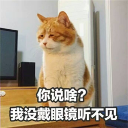 屈光矯視