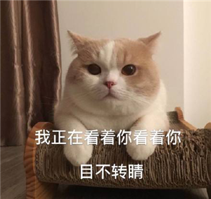 小兒眼病