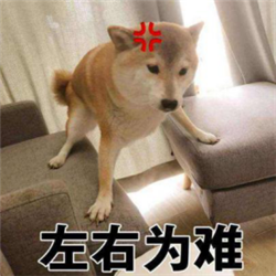屈光矯視