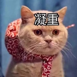 玻璃體視網膜