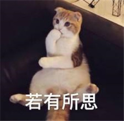 玻璃體視網(wǎng)膜