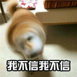 玻璃體視網膜