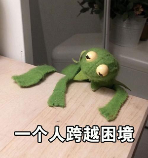 屈光矯視