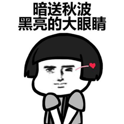 眼表眼角膜