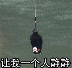 玻璃體視網(wǎng)膜